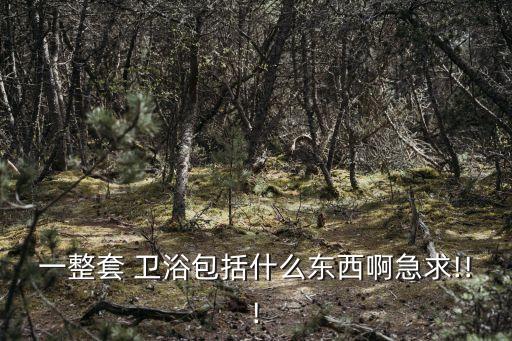 一整套 衛(wèi)浴包括什么東西啊急求!!!