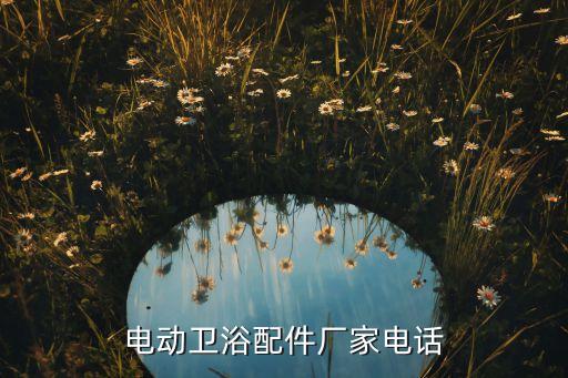 湖北電動衛(wèi)浴配件廠家電話