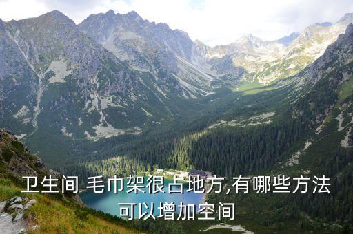 衛(wèi)浴毛巾架裝飾圖片,九牧衛(wèi)浴毛巾架