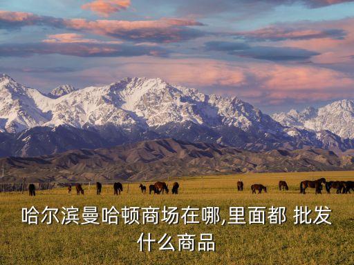 哈爾濱曼哈頓商場在哪,里面都 批發(fā)什么商品