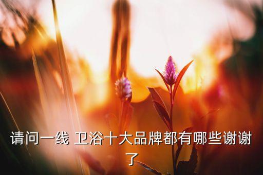 請(qǐng)問(wèn)一線 衛(wèi)浴十大品牌都有哪些謝謝了