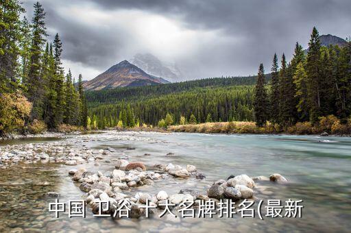 中國(guó) 衛(wèi)浴 十大名牌排名(最新