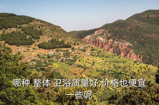 哪種 整體 衛(wèi)浴質(zhì)量好,價格也便宜一些呢