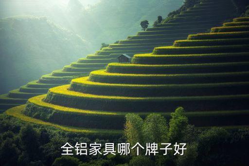 全鋁家具哪個牌子好