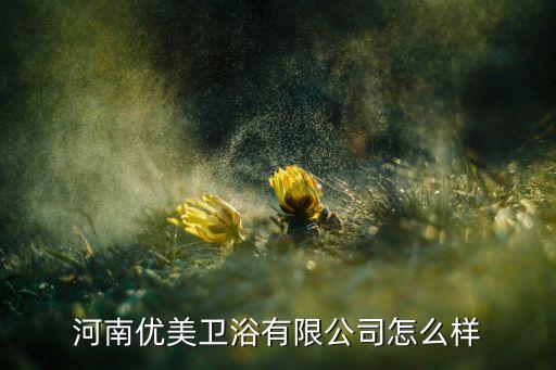 河南優(yōu)美衛(wèi)浴有限公司怎么樣