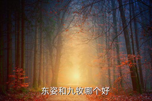東姿衛(wèi)浴的品牌定位是,法恩莎衛(wèi)浴品牌定位