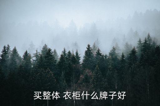 買整體 衣柜什么牌子好