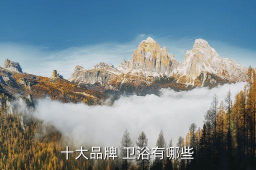 十大品牌 衛(wèi)浴有哪些
