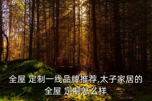 全屋 定制一線品牌推薦,太子家居的全屋 定制怎么樣