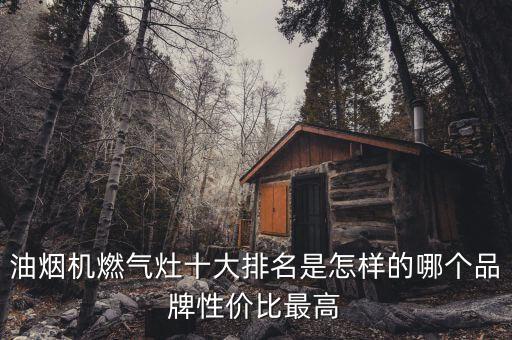 油煙機(jī)燃?xì)庠钍笈琶窃鯓拥哪膫€(gè)品牌性價(jià)比最高