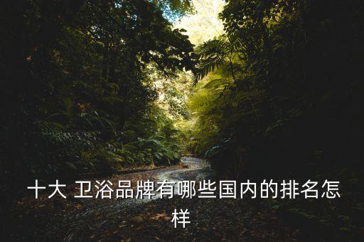  十大 衛(wèi)浴品牌有哪些國內(nèi)的排名怎樣