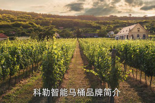 科勒智能馬桶品牌簡介