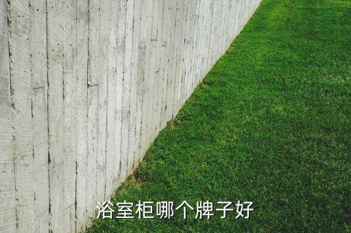 浴室柜哪個牌子好