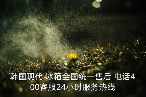 韓國現(xiàn)代 冰箱全國統(tǒng)一售后 電話400客服24小時(shí)服務(wù)熱線