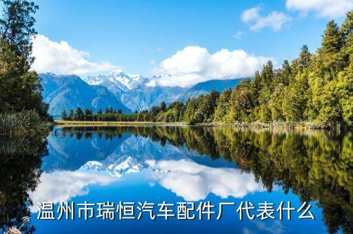 溫州市瑞恒汽車配件廠代表什么