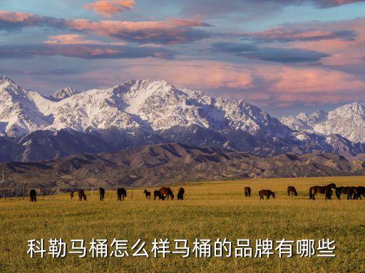 科勒馬桶怎么樣馬桶的品牌有哪些