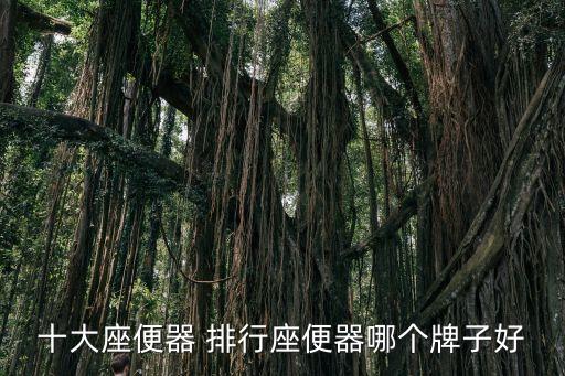 十大座便器 排行座便器哪個(gè)牌子好