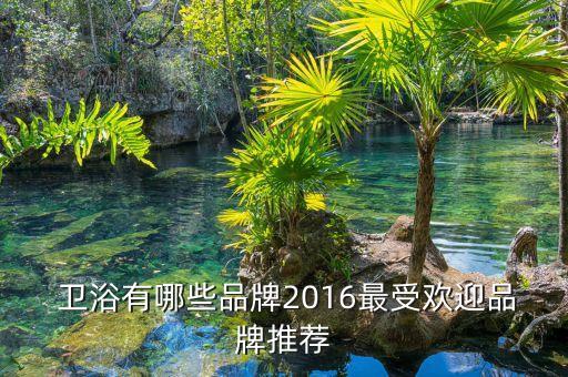  衛(wèi)浴有哪些品牌2016最受歡迎品牌推薦