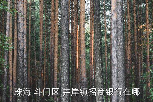  珠海 斗門區(qū) 井岸鎮(zhèn)招商銀行在哪