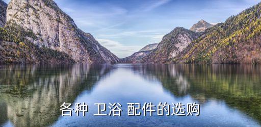 衛(wèi)浴淋浴噴頭配件圖片大全