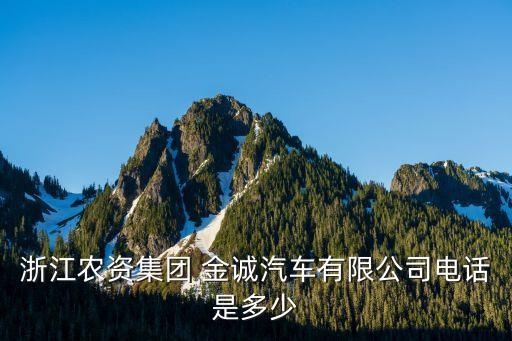 浙江農(nóng)資集團(tuán) 金誠(chéng)汽車有限公司電話是多少