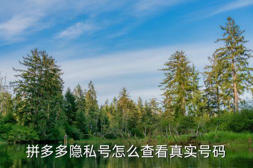 拼多多隱私號怎么查看真實號碼