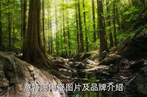 意特陶陶瓷圖片及品牌介紹