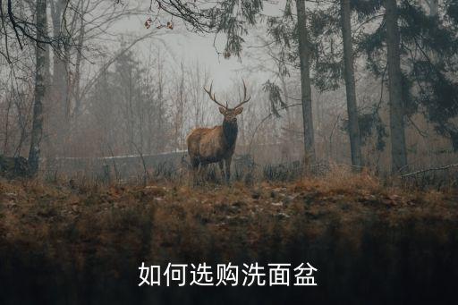 衛(wèi)浴雙臺盆圓形圖片