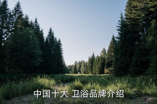 中國十大 衛(wèi)浴品牌介紹