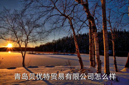  青島貝優(yōu)特貿(mào)易有限公司怎么樣