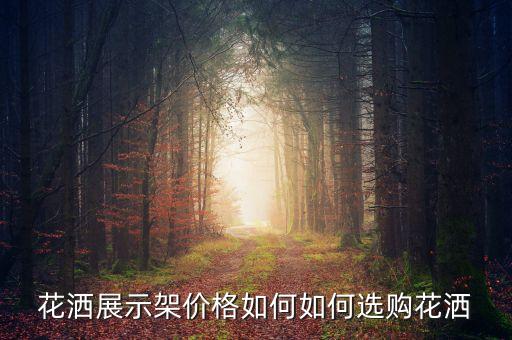 花灑展示架價(jià)格如何如何選購花灑