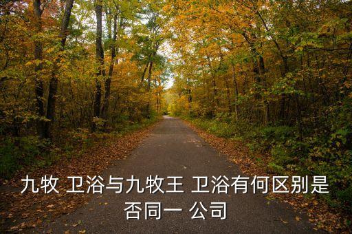 九牧 衛(wèi)浴與九牧王 衛(wèi)浴有何區(qū)別是否同一 公司