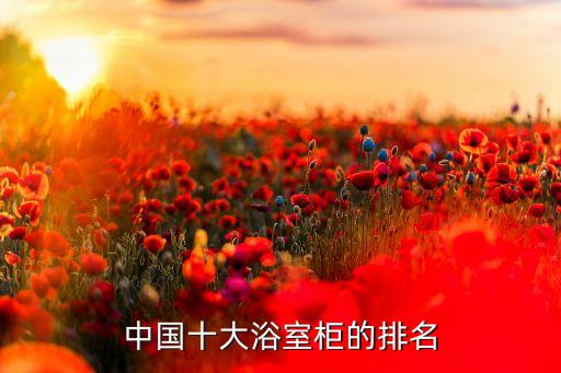 高檔衛(wèi)浴樣板房圖片欣賞,衛(wèi)浴門店裝修圖片欣賞