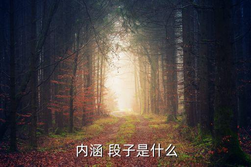  內(nèi)涵 段子是什么