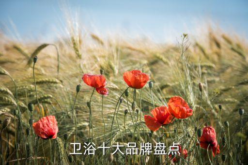 深圳偏愛的衛(wèi)浴品牌有幾個