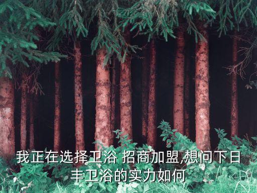 我正在選擇衛(wèi)浴 招商加盟,想問下日豐衛(wèi)浴的實力如何