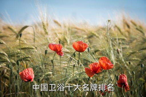 中國衛(wèi)浴十大名牌排名
