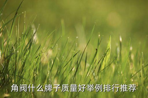 角閥什么牌子質(zhì)量好舉例排行推薦