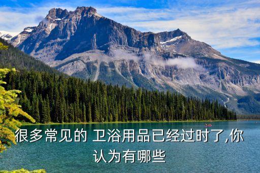 衛(wèi)浴玻璃門衣柜收納圖片