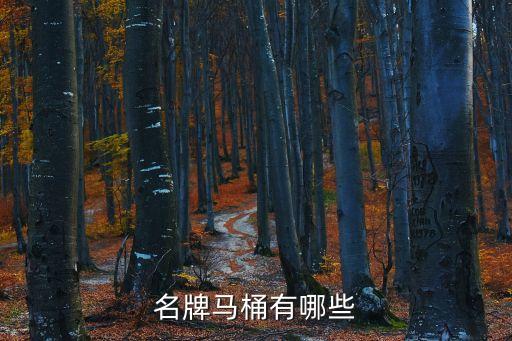 名牌馬桶有哪些