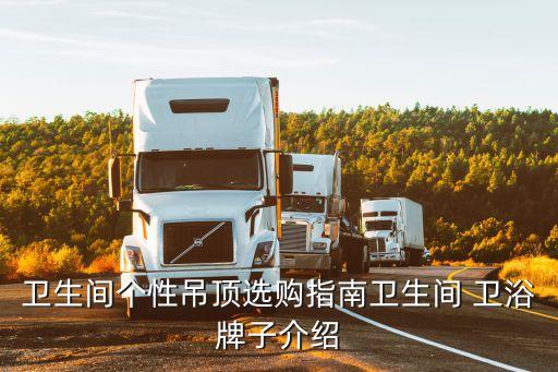 日本低端衛(wèi)浴品牌,日本衛(wèi)浴品牌排行榜前十名