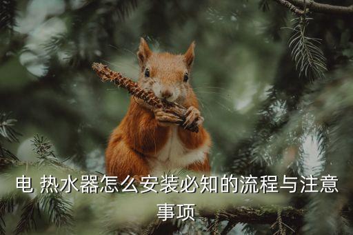 衛(wèi)浴間安裝熱水器圖片視頻