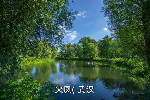 武漢瑞閣衛(wèi)浴公司電話多少