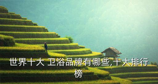 世界十大 衛(wèi)浴品牌有哪些,十大排行榜