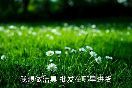 我想做潔具 批發(fā)在哪里進(jìn)貨