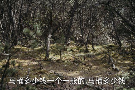 山美智能衛(wèi)浴價(jià)格表圖片,九牧智能衛(wèi)浴馬桶價(jià)格表
