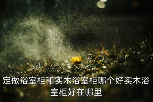 定制衛(wèi)浴一體柜價(jià)格及圖片