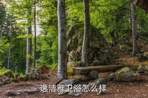 逸潔雅衛(wèi)浴怎么樣