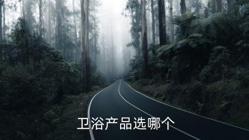  衛(wèi)浴產(chǎn)品選哪個