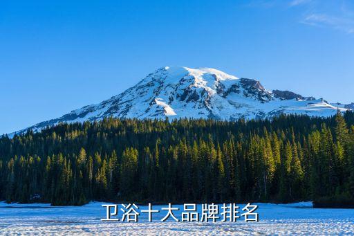 新疆衛(wèi)浴有哪些品牌的好,中國(guó)十大衛(wèi)浴品牌有哪些